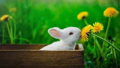 开云-【早报】体育界动荡与黑暗的一天！